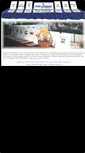 Mobile Screenshot of maximumnetevents.com